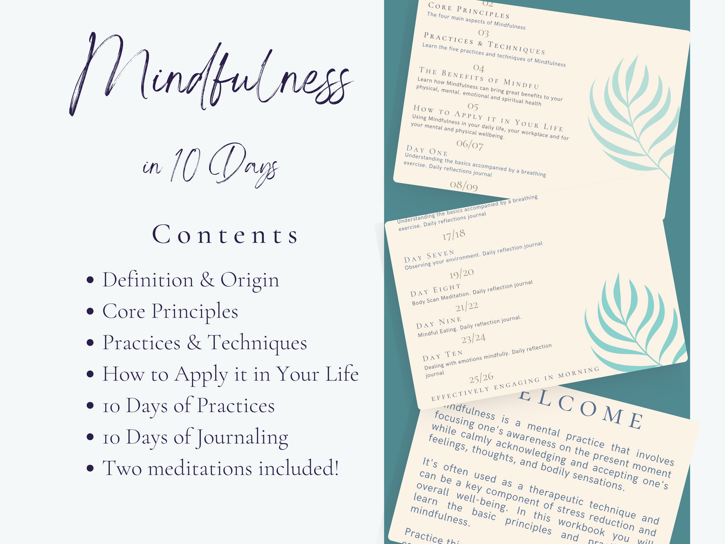 Paperback Mindfulness in 10 Days - Workbook and Tracker